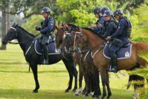 Cavalaria da Polícia Militar reforça segurança no Parque Saburo Onoyama