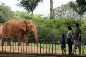 Inscrições para programa de voluntariado no Zoológico de Brasilia começam nesta quarta-feira (1º)