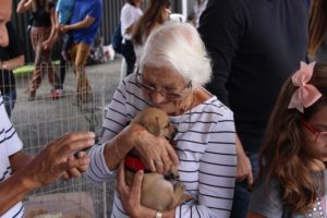 Adoção: feira recebe 300 pets em busca de um lar