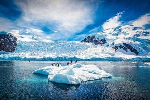 Quatro efeitos que acompanham o recorde de temperatura no Polo Sul