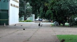 Suspeita de bomba assusta servidores em ministérios no DF. Mochila continha roupas