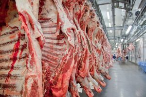 China retoma importação de carne brasileira