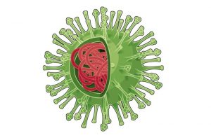 Remdesivir: o que sabemos sobre a nova promessa contra o coronavírus