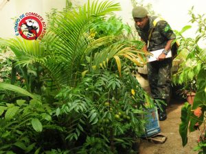 Exército reforça enfrentamento à dengue no Jardim Botânico