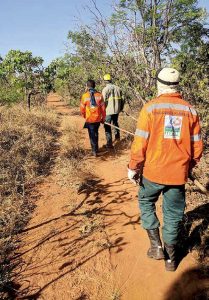 Abertas inscrições para contratação de brigadistas florestais
