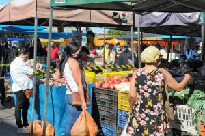 Readequação: feiras livres têm boa aceitação de feirantes e consumidores