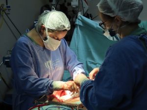 Gestão Caiado: HGG se torna 4º maior centro de transplantes renais do País