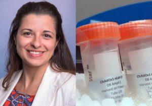 Brasileira está à frente dos testes da vacina de Oxford: covid-19