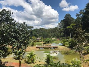 Jardim Botânico de Brasília se organiza para reabertura