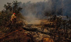 Governo envia secretário Nacional de Proteção para averiguar focos de incêndio no Pantanal
