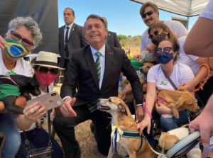 Vídeo: Bolsonaro testa aceitação do projeto sobre maus-tratos a cães e gatos no Face