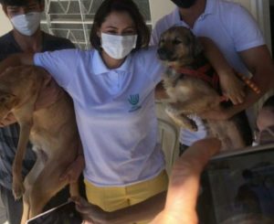 Jair Bolsonaro sanciona lei mais dura aos crimes de maus-tratos contra cães e gatos