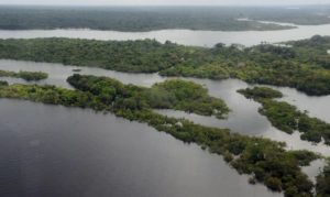 Em vídeo, Bolsonaro discursa na Cúpula da Biodiversidade da ONU