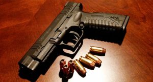 Polícia Federal aposta na flexibilização do uso e porte de armas para cidadão brasileiro