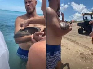 VÍDEO | Banhista caminha segurando tubarão com dentes cravados em antebraço