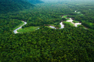 Em evento mundial, brasileira apresenta estudo sobre situação dos territórios tradicionais na pandemia