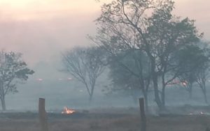 Incêndio provoca fechamento do Parque da Chapada dos Veadeiros-GO