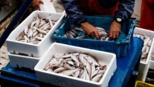 BAHIA REGISTRA 13 CASOS DE SÍNDROME QUE DEIXA XIXI DA COR DE CAFÉ