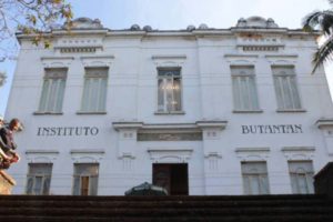Instituto Butantan quer entregar mais de 400 mil doses diárias da CoronaVac ao Ministério da Saúde