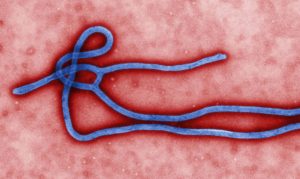 Guiné declara novo surto de ebola