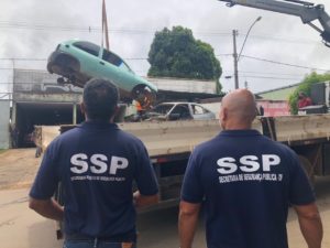 GDF | Mais de 500 carcaças retiradas das ruas