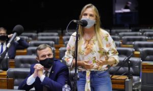 Câmara aprova compra de vacina por empresa privada