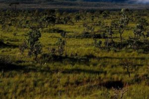 Semana do Meio Ambiente valoriza os recursos hídricos