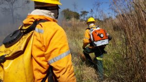 Brasília Ambiental vai contratar brigadistas florestais