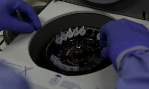 Butantan continua sem produzir vacina por falta de insumo