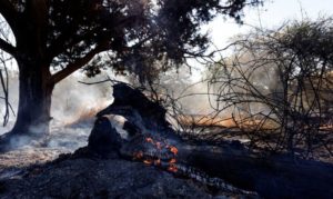 Israel desafia trégua e ataca localizações do Hamas em Gaza