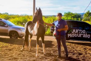 Eventos esportivos para público restrito nos fins de semana