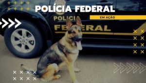 PF, em ação conjunta, apreende 870 kg de cocaína
