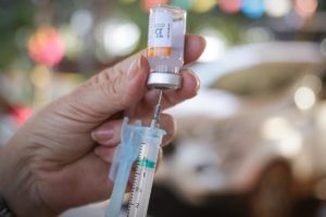 SpiNTec, vacina da UFMG poderá ser usada na imunização anual