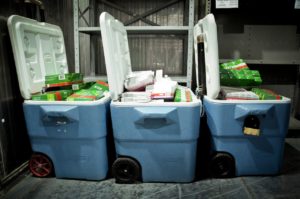 Entenda como a Rede de Frio garante chegada de vacinas ao público