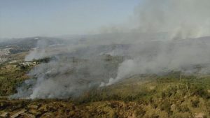 Incêndio continua destruindo o Parque Estadual do Juquery, em Franco da Rocha (SP)