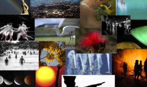 Dia Mundial da Fotografia: conheça os profissionais da Agência Brasil