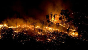 Incendiário ligado ao PCC é preso em batatais pela Polícia Militar de São Paulo