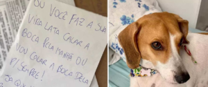 Vizinha ameaça calar cachorra para sempre em São Paulo