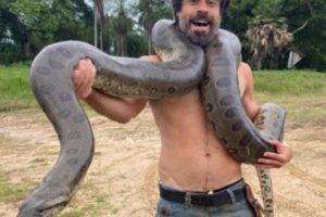No elenco da novela Pantanal, ator Erom Cordeiro posa ao lado de sucuri