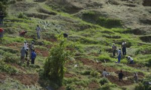 Petrópolis: cemitério improvisa covas para receber vítimas da chuva