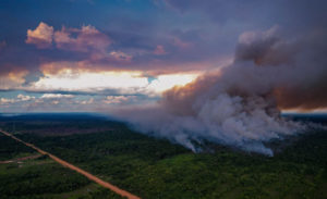Área de influência da BR-319, na Amazônia, tem recordes de desmatamento e focos de calor em 2021