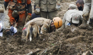 Mortes pela chuva em Petrópolis chegam a 120
