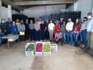 Mesa Brasil vai receber doações da Unidade de Distribuição de Alimentos