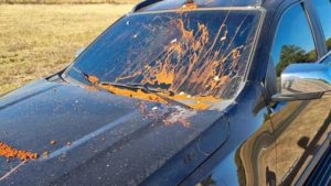 Carro de juiz que decretou prisão de Milton Ribeiro é atacado em Brasília