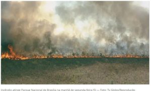 Combate a incêndio no Parque Nacional de Brasília chega ao quinto dia; 2,89 mil hectares foram queimados