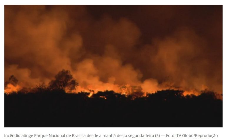 Queimadas no Brasil: Um desastre ambiental em curso
