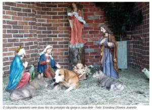 Caramelo se abriga no presépio da igreja e encanta fiéis
