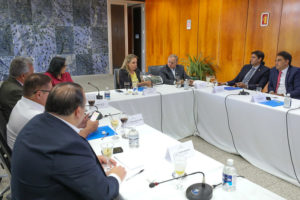 Celina Leão e bancada federal tratam de saúde e segurança do DF