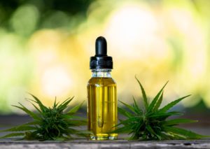 Projeto de lei no DF quer autorizar plantio de cannabis para uso medicinal