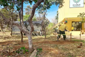 Unidades de conservação recebem 150 brigadistas florestais